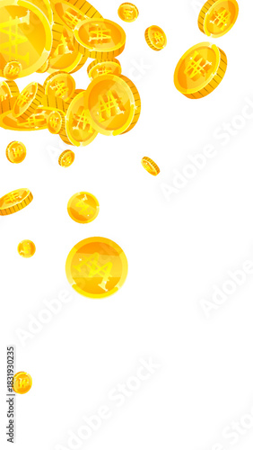 Korean won coins falling. Scattered gold WON