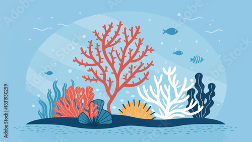 Coral Bleaching Under Sea An Icon of Ocean Acidification