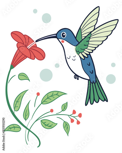 Colorful Hummingbird Drinking Nectar from Flower – Vector Illustration