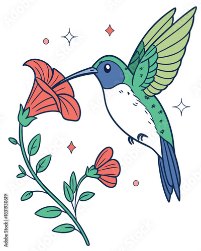 Colorful Hummingbird Drinking Nectar from Flower – Vector Illustration
