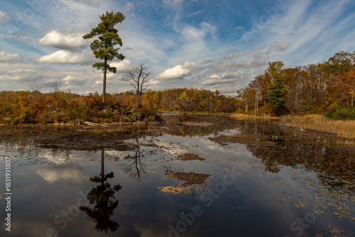 Landscape along the Sussex Branch Trail in Kittatinny Valley State Park, NJ