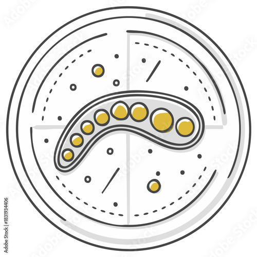 Stylized Microbiological Organism Culture Growing in a Laboratory Petri Dish Scientific Research Biology Study Icon