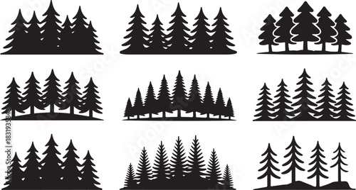 Nine Black Silhouette Illustrations of Pine Tree Clusters on White Background fir tree coniferous