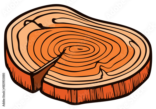 Detailed wood slice cross section showing concentric annual growth rings and natural timber texture