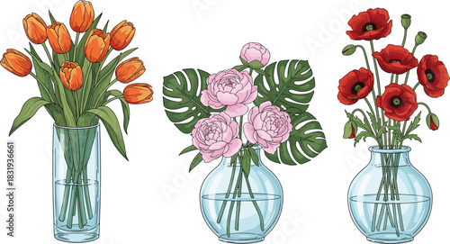 Glass vases with tulips, peonies, and poppies floral bouquet arrangement for spring home decor, botanical design, and nature illustration.
