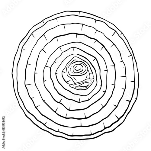 Onion slice, onion rings monochrome botanical fragrant vegetable drawing illustration. Isolated. Graphic hand drawn ink black and white vector. Good for cooking, medicinal, menu, garden, package