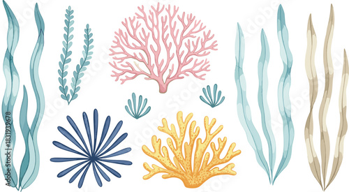 Watercolor Under the Sea Vector Collection Featuring Seaweed, Kelp, and Diverse Coral Reef Organisms for Marine, Ocean, and Aquarium Decorative Designs