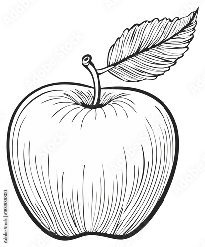 Detailed Apple Illustration with Leaf, Black and White Fruit Outline Drawing