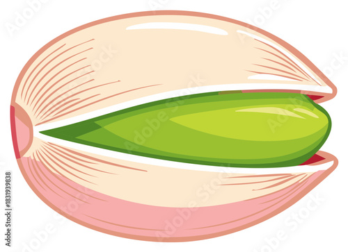 Illustration of a cracked open pistachio nut with a green seed