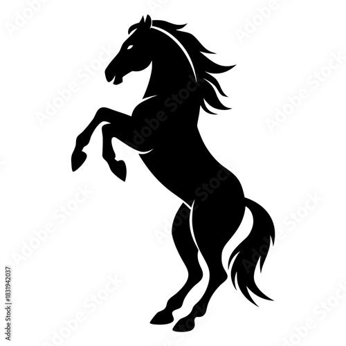Powerful rearing horse silhouette against white background