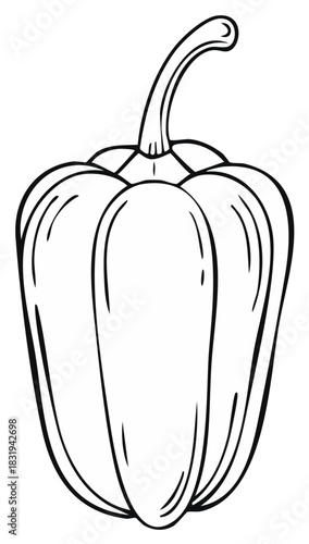 Line drawing illustration of a bell pepper vegetable