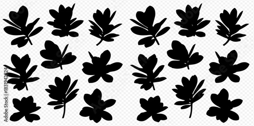 Silhouetted leaves arranged in a pattern against a white background.
