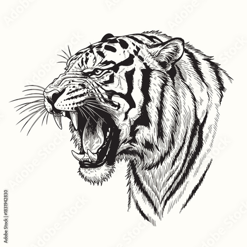 Tiger vector sketch hand drawn line art in nature, tiger face close-up in detailed black — stock vector