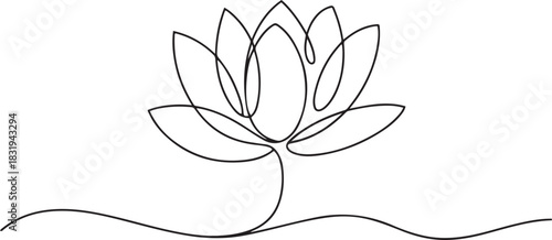Continuous line drawing of lotus flower .one line  vector illustration  with out background