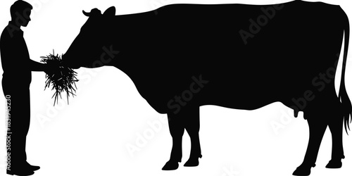 Silhouette of farmer feeding cow with hay, agricultural livestock care scene showing human and animal interaction, rural farming illustration design concept