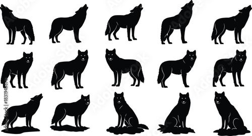 Wild wolf silhouette collection featuring multiple standing, howling, and sitting poses, wildlife illustration set, predator animal vector graphic design