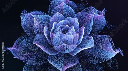 ﻿Digital abstract particles expand and bloom outward, forming complex geometric blue and purple flower shapes in a seamless loop forming, loop, abstract