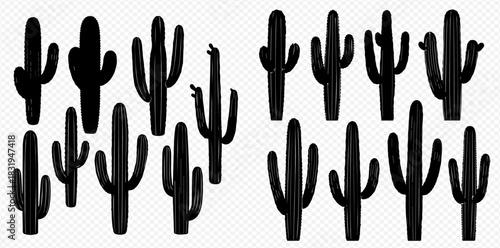 Silhouetted cacti in a group, creating a desert-like scene with various shapes and sizes.