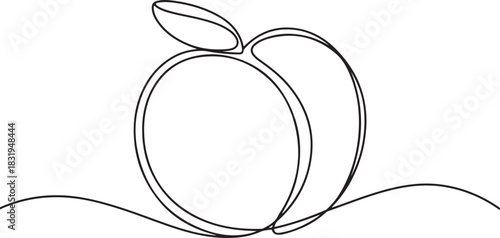 Peach fruit in continuous line art drawing style.one line  vector illustration  with out background