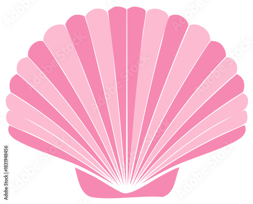 Pink striped scallop shell illustration with radiating lines