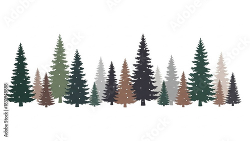 Evergreen forest illustration vector design with pine trees for christmas and winter holiday season