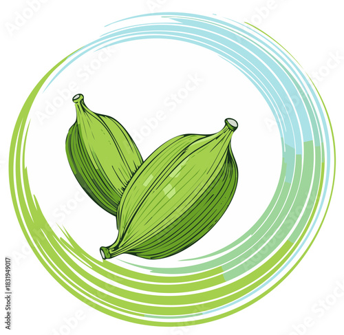 Illustration of green cardamom pods in a stylized frame