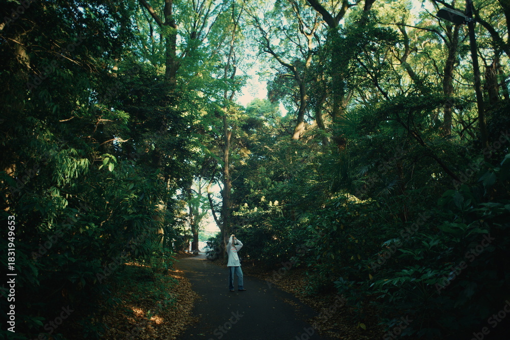 Fototapeta premium The girl blends into the park’s soft atmosphere as sunlight passes through the treetops.