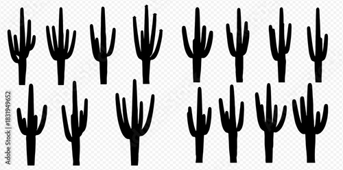 Silhouetted saguaro cactus plants in a repeating pattern on a transparent background.
