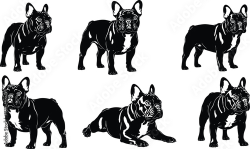 Set of detailed French Bulldog illustrations in various poses, showcasing expressive purebred dog silhouettes, pet artwork, cartoon style, and animal design