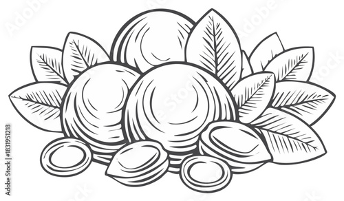 Classic black and white line art drawing featuring whole and cracked nuts with leaves for healthy eating concepts