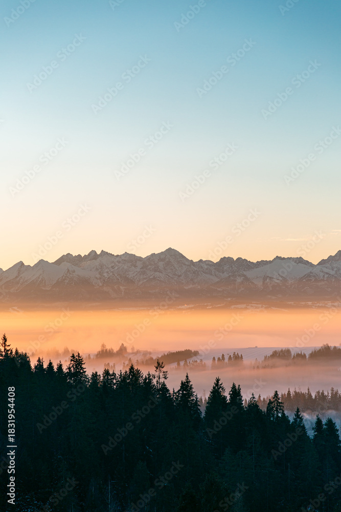 Obraz premium serene sunrise over snow-capped Tatras mountain range beyond a misty forest valley at golden horizon