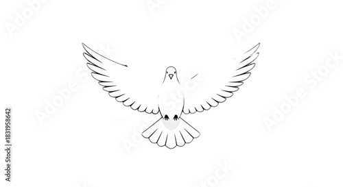Symbol of peace, a white dove with outstretched wings soaring against a bright background.