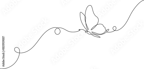 continuous single line drawing of a butterfly, line art vector illustration