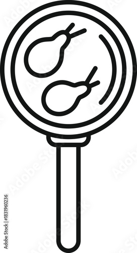 Magnifying glass showing two dust mites, concept for allergy and pest detection