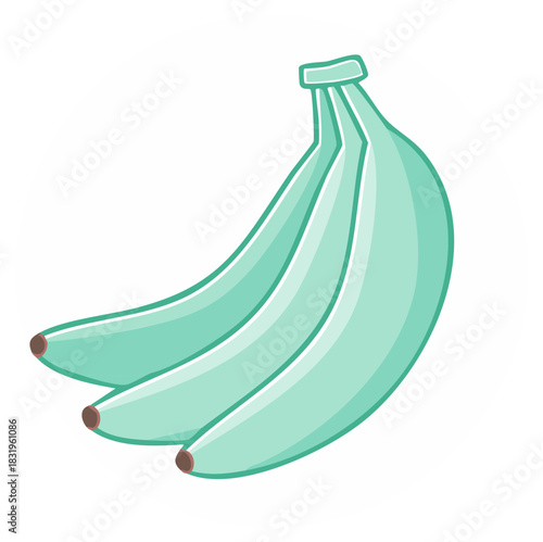 Unripe green bananas bunch illustration with stylized cartoon look