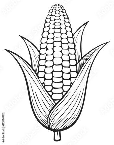 Black and White Line Art Illustration of a Ripe Ear of Corn with Husks Partially Visible