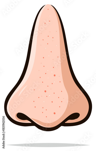 Human Nose with Blemishes Skin Problems Facial Anatomy Illustration Skin Conditions Skincare Beauty Medical Health