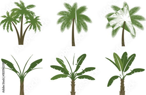 Tropical palm trees and banana plants vector set with stylized leaves, exotic trunks, botanical diversity for landscape and nature themes