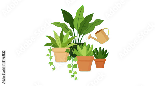 Green Houseplants in Pots with a Watering Can