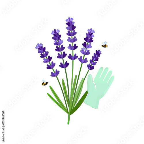 Hand holding lavender with bees in a playful illustration