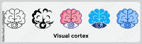 Visual cortex