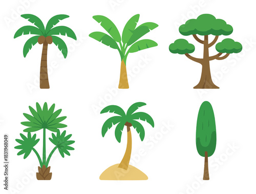 Illustration of diverse trees: coconut, banana, oak, palm, pine, and conifer on green background