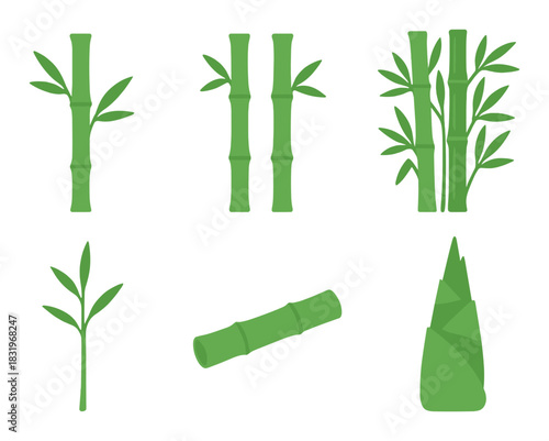 Variety of bamboo: stalks, leaves, and shoots in lush green design