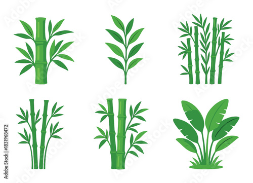 Variety of green bamboo illustrations on gradient background