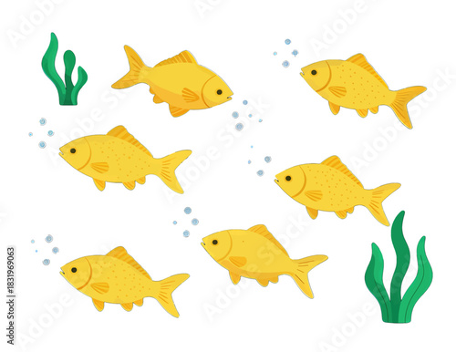 Swimming goldfish with bubbles and green plants