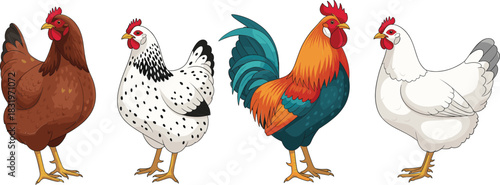 Realistic Cartoon Farm Chicken Set with Rooster and Hen Breeds Colorful Flat Vector Illustration Isolated on White