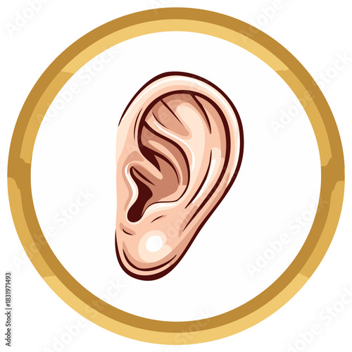 Human ear illustration in a golden frame. Vector art of an ear with details.