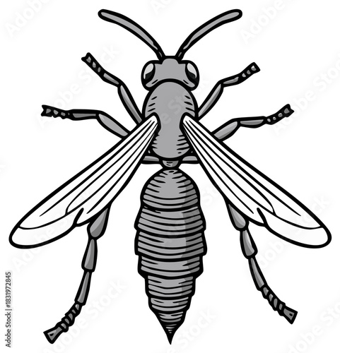Illustration of a Wasp Insect with Segmented Body and Wings