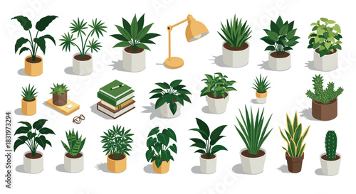 Indoor plants and office decor in isometric style with books and lamp