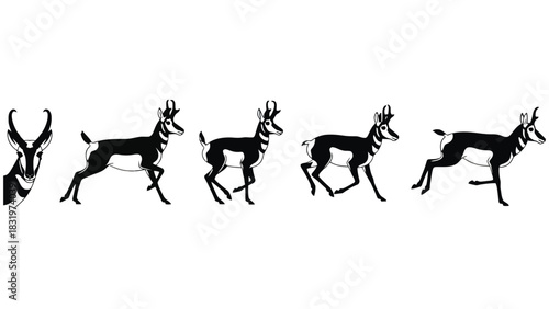 Pronghorn antelope running illustration wildlife black and white